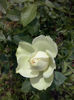 CAM01021