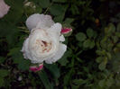 CAM01162