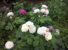 CAM01167