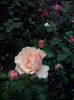 CAM01193