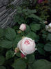 CAM01194