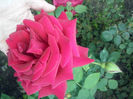 CAM01199