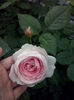 CAM01200