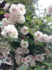 CAM01212