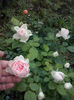 CAM01231