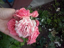 CAM01281