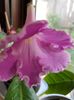 thumbnail (3)