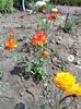 IMG-20180515-WA0008