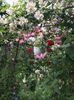 D771685D-35CC-49F6-9A8D-2368F90BC36C