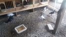 IMG-20180509-WA0064