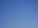 Luna Noua in conjunctie cu Venus