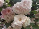 CAM01289