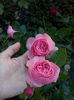 CAM01365