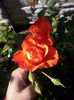 CAM01374