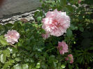 CAM01404