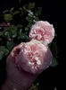 CAM01474