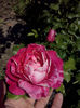 CAM01488
