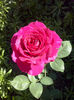 CAM01496