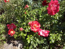 CAM01503