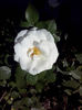 CAM01514