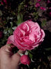 CAM01515