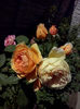 CAM01517