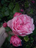 CAM01531