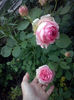 CAM01544