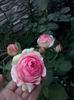 CAM01545