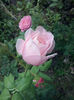 CAM01563