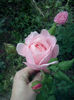 CAM01564