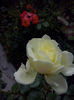 CAM01567