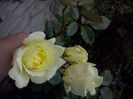 CAM01568