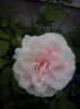 CAM01580