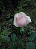 CAM01596