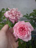 CAM01598