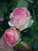 CAM01601