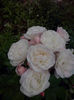 CAM01614