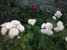 CAM01615