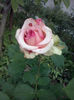 CAM01632