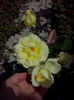 CAM01639