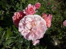CAM01641
