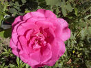 CAM01644