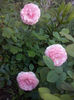 CAM01653