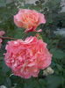 CAM01658