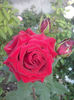 CAM01660