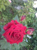 CAM01661