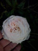 CAM01665