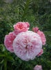 CAM01672