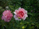 CAM01673